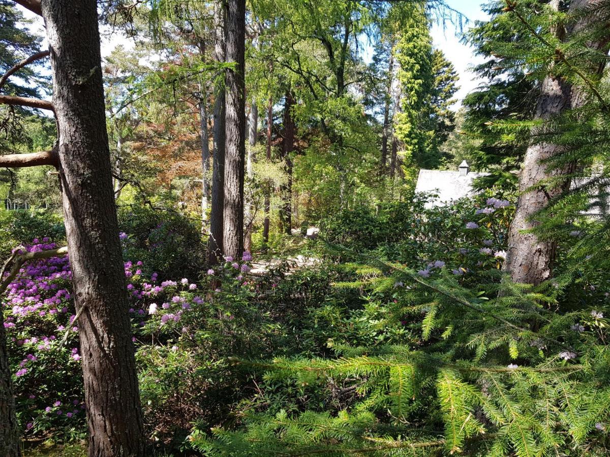 Cambus O' May Traditional Highland Hotel Балатър Екстериор снимка
